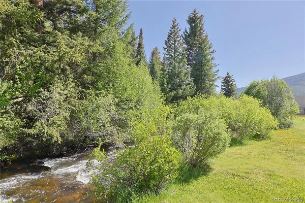 a view of a bunch of trees and bushes