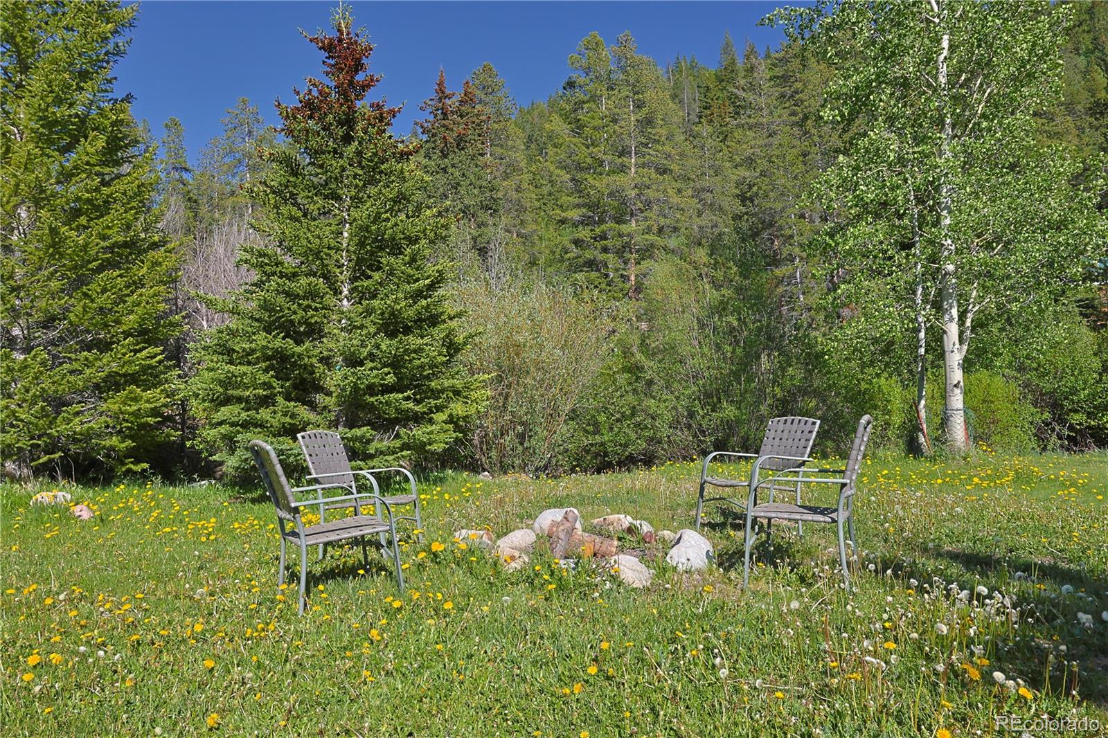 420 Quartz Lane Pitkin, CO 81241 - Photo 28 of 40 a chair and a table in a garden