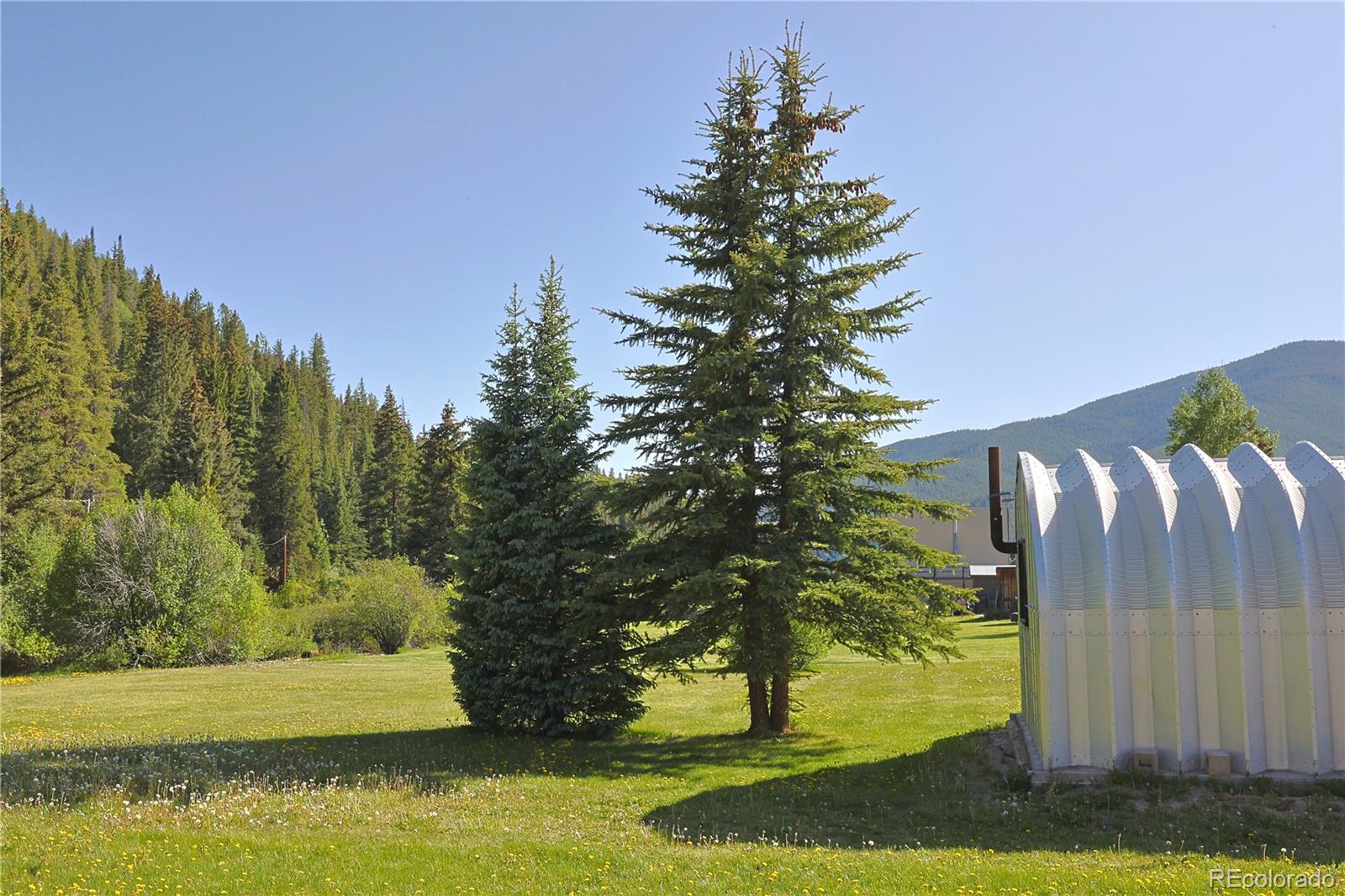 420 Quartz Lane Pitkin, CO 81241 - Photo 30 of 40 a view of a yard