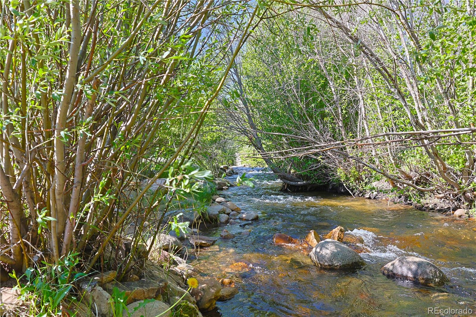 420 Quartz Lane Pitkin, CO 81241 - Photo 5 of 40 a view of lake with green space