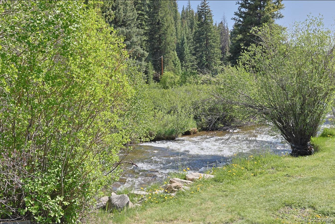 420 Quartz Lane Pitkin, CO 81241 - Photo 6 of 40 a view of a yard with plants and a tree