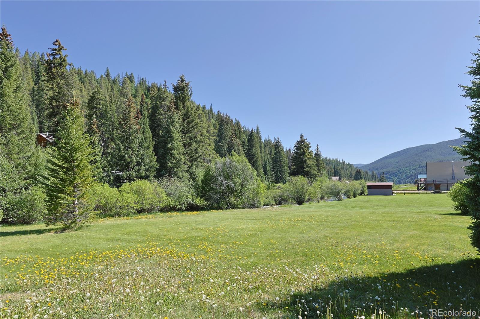 420 Quartz Lane Pitkin, CO 81241 - Photo 7 of 40 a view of a field with an trees