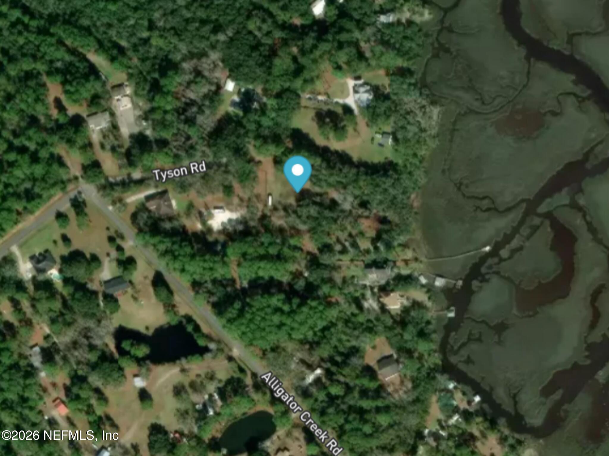 95654 Tyson Road Fernandina Beach, FL 32034 - Photo 12 of 16 a view of a garden with plants