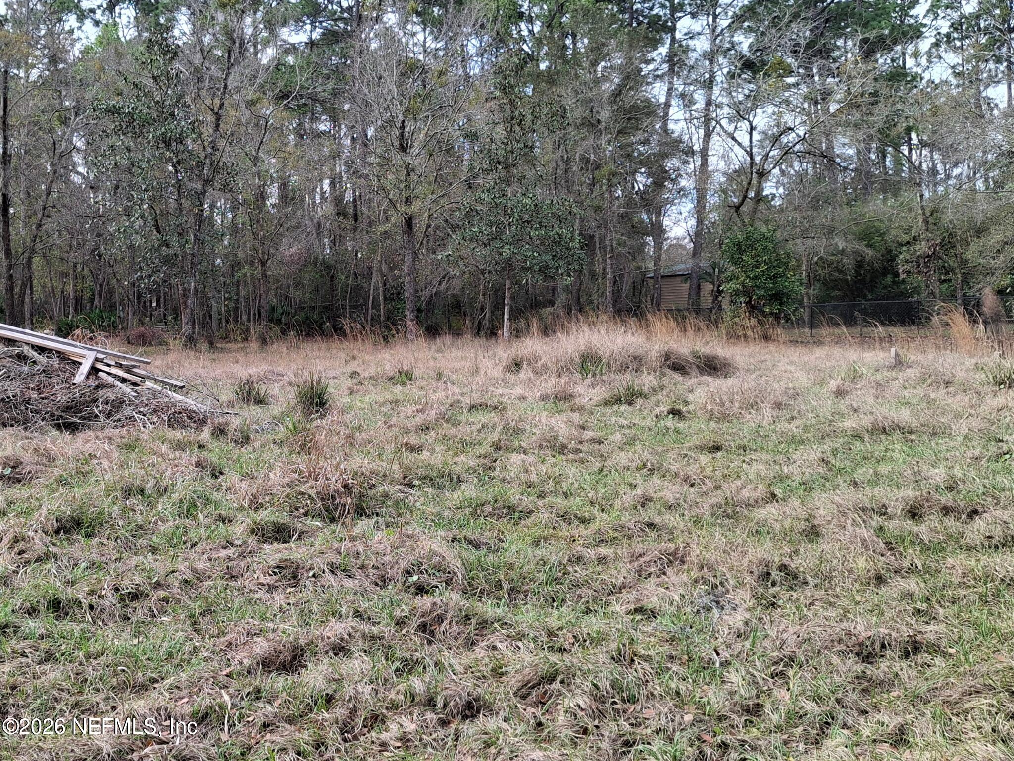 95654 Tyson Road Fernandina Beach, FL 32034 - Photo 4 of 16 a view of a forest with trees in the background