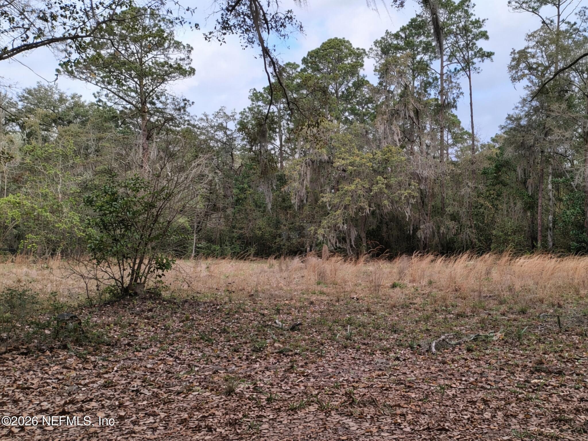95654 Tyson Road Fernandina Beach, FL 32034 - Photo 6 of 16 a view of a dry yard with lots of green space