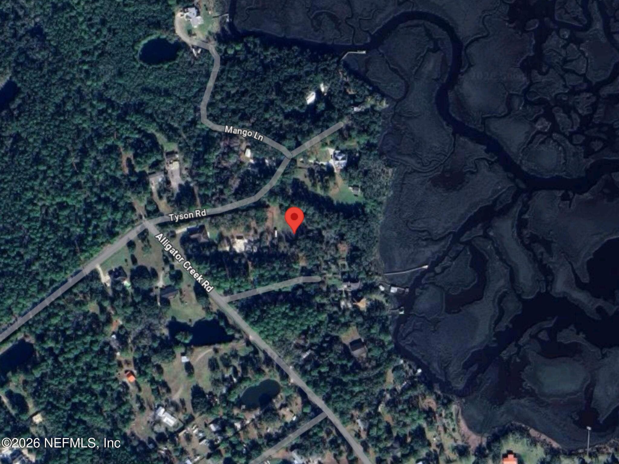 95654 Tyson Road Fernandina Beach, FL 32034 - Photo 7 of 16 a picture of tree