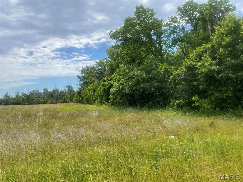 Xxx Louse Creek Road Patoka, IL 62875 - Photo 5 of 7