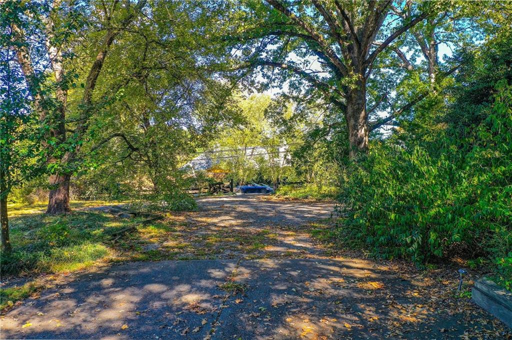 1395 Mid Broadwell Road Alpharetta, GA 30004 - Photo 10 of 67 a view of a yard with plants and trees