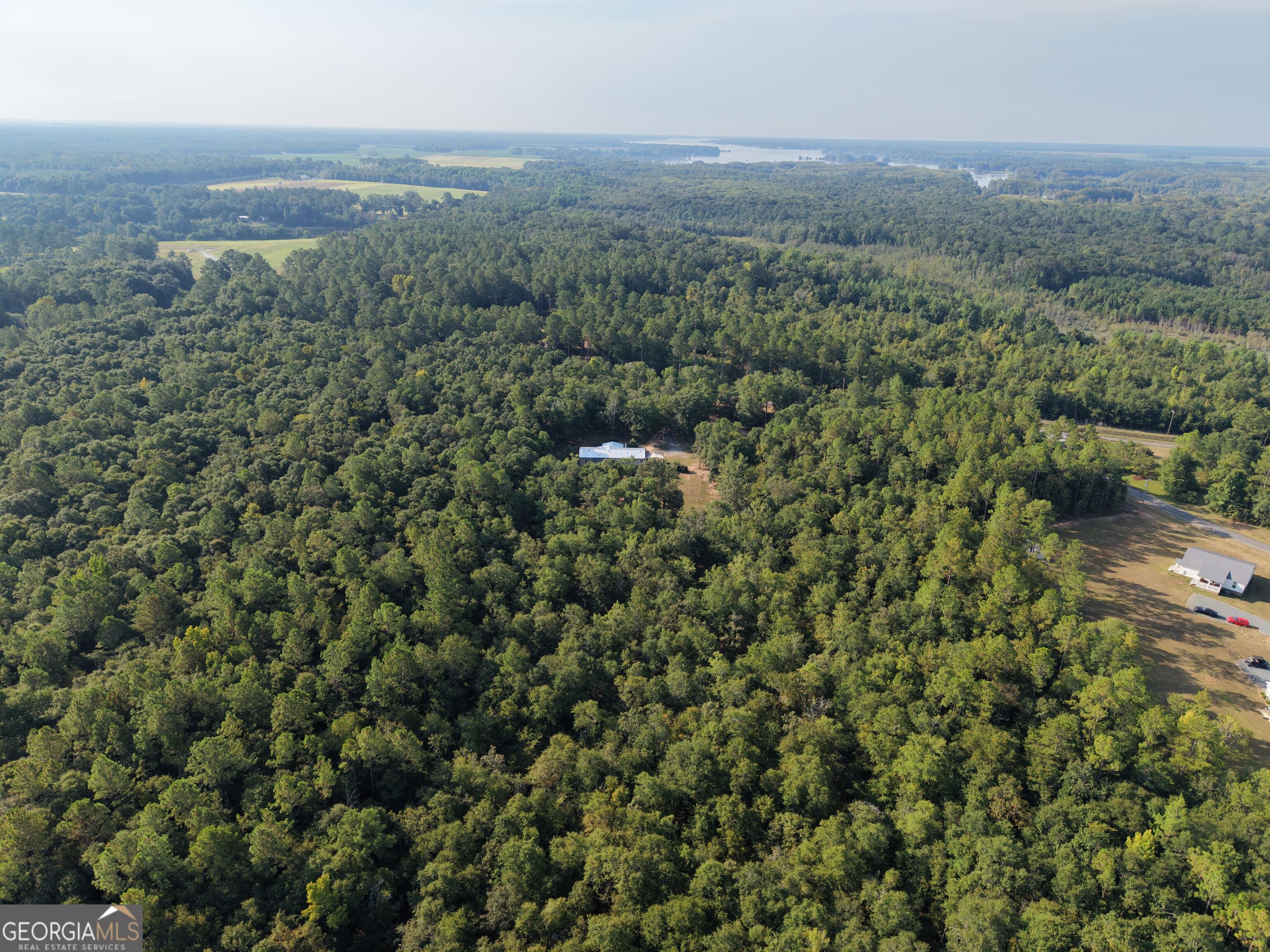482 Campers Haven Road Vienna, GA 31092 - Photo 13 of 35 Gallery Image 13