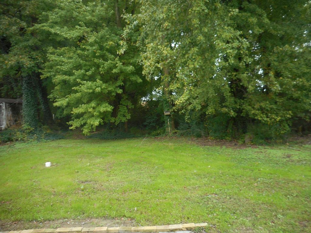 10041 Atlantic Road Atlantic, VA 23303 - Photo 5 of 24