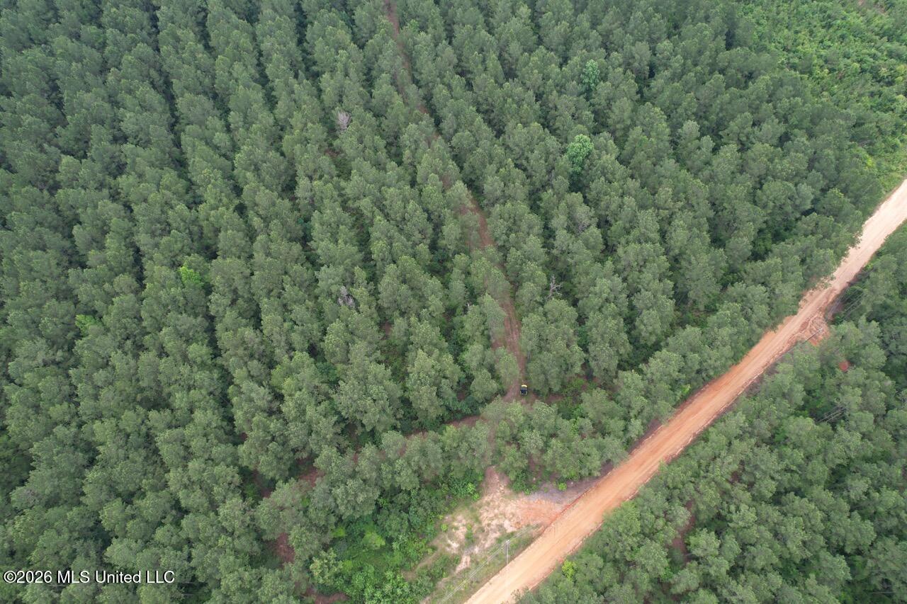 6643 Grange Hall Road Osyka, MS 39657 - Photo 33 of 39 DJI_0146 Large