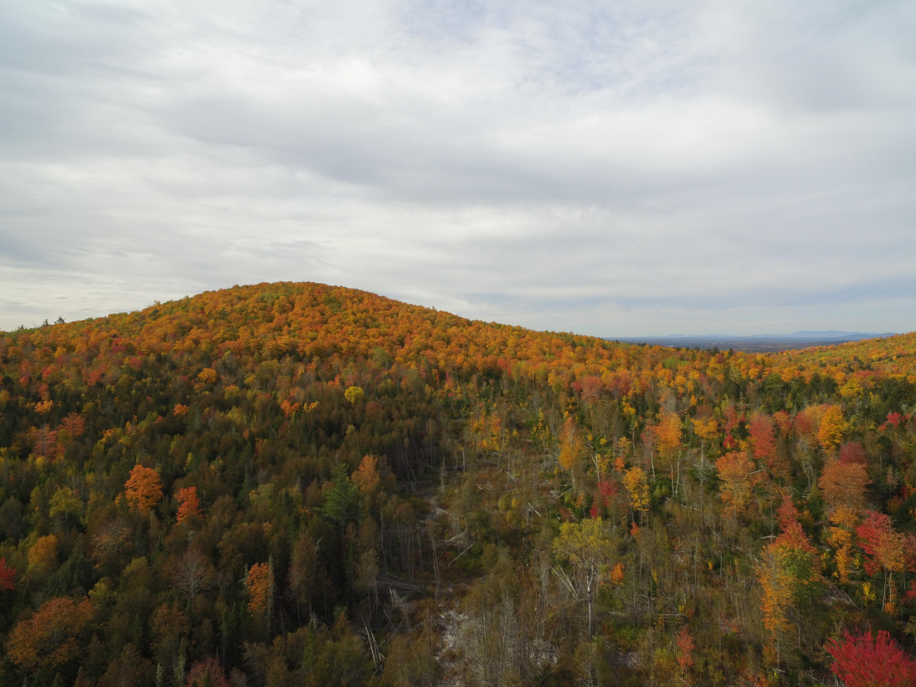 53 Map Road Lincoln, ME 04457 - Photo 7 of 10 DJI_0228