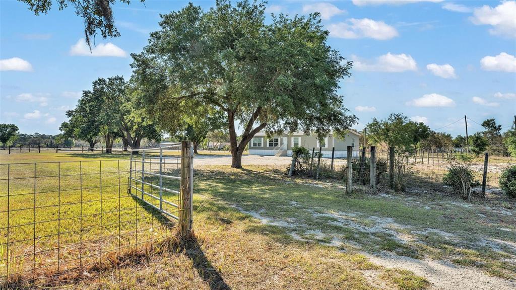 5535 Lake Buffum Road Lake Wales, FL 33859 - Photo 3 of 48 a view of a yard with trees