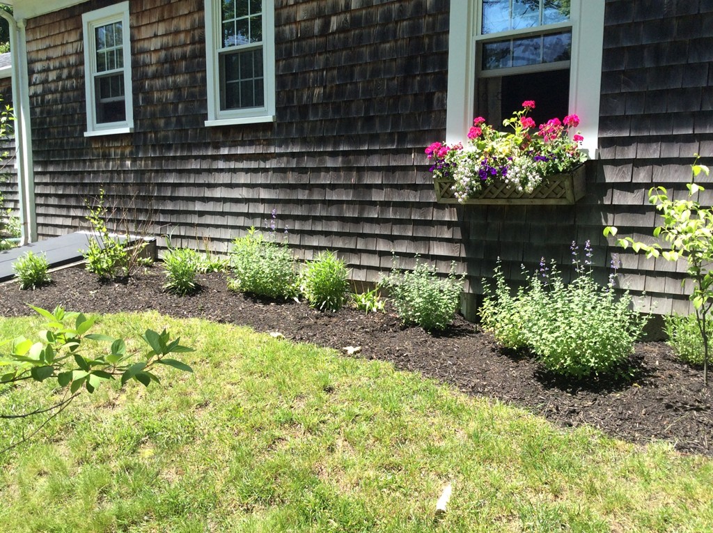 259 First Parish Road Scituate, MA 02066 - Photo 28 of 29 a front view of a house with a yard