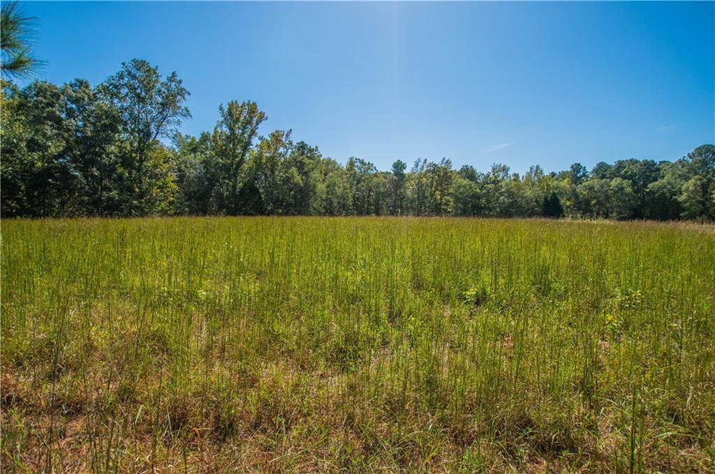 1145 Thurston Snow Road Good Hope, GA 30641 - Photo 115 of 134