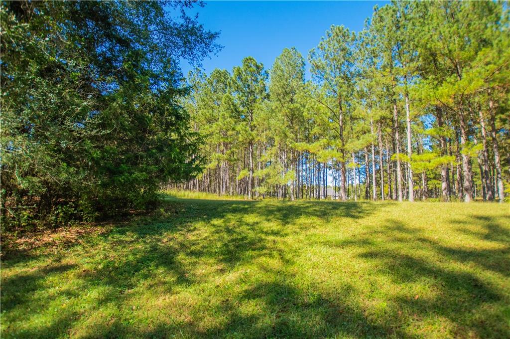 1145 Thurston Snow Road Good Hope, GA 30641 - Photo 118 of 134