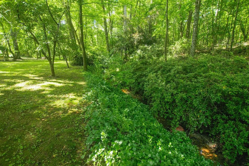 1145 Thurston Snow Road Good Hope, GA 30641 - Photo 13 of 134