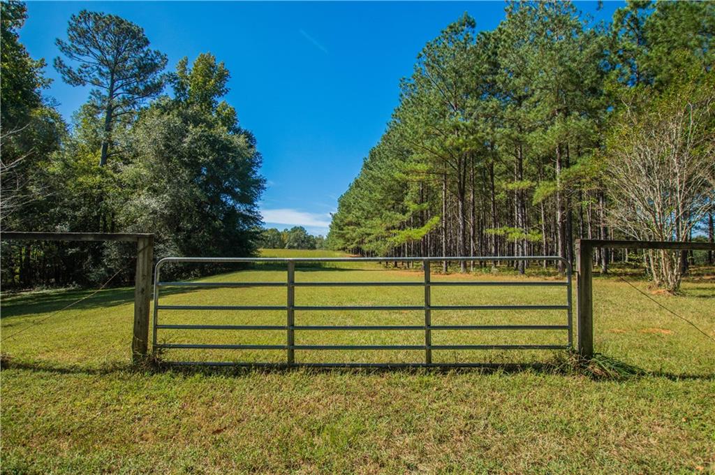 1145 Thurston Snow Road Good Hope, GA 30641 - Photo 15 of 134