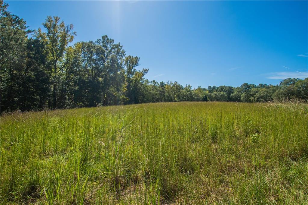 1145 Thurston Snow Road Good Hope, GA 30641 - Photo 16 of 134