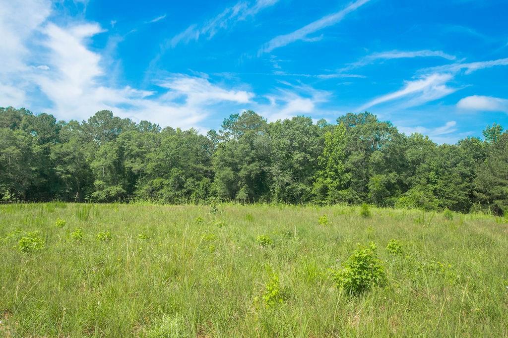 1145 Thurston Snow Road Good Hope, GA 30641 - Photo 17 of 134