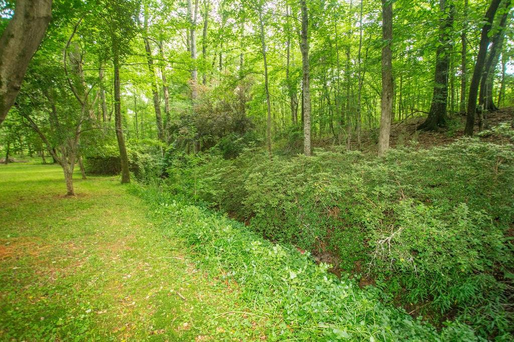 1145 Thurston Snow Road Good Hope, GA 30641 - Photo 82 of 134