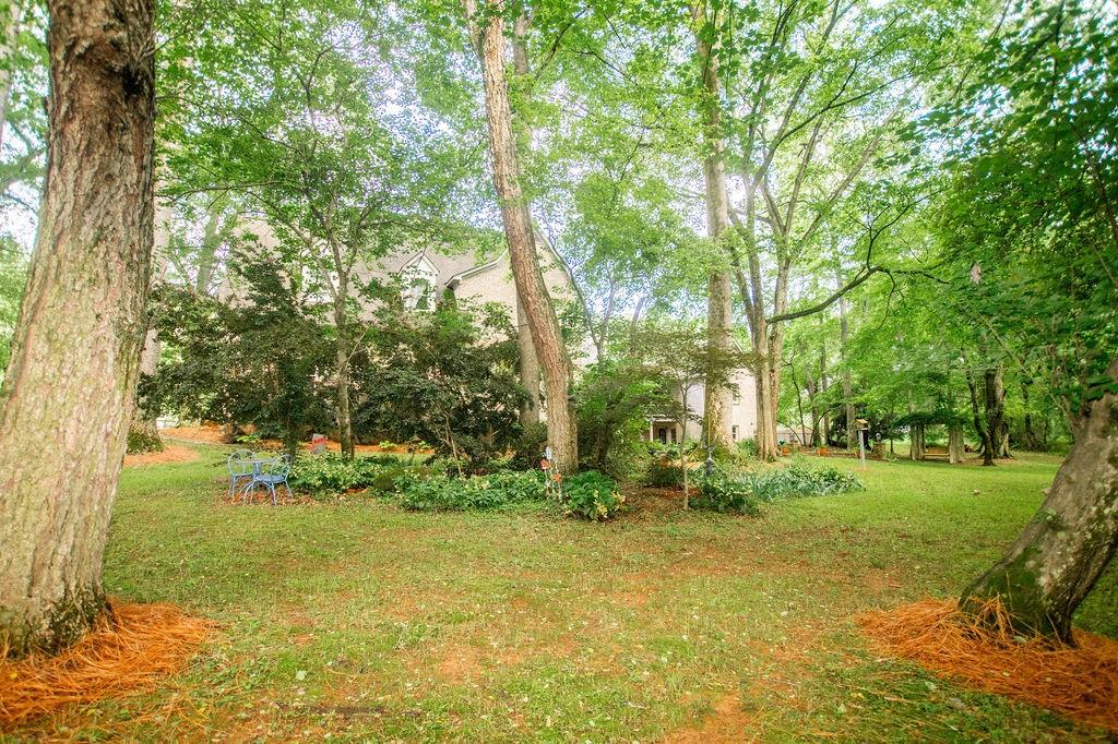 1145 Thurston Snow Road Good Hope, GA 30641 - Photo 83 of 134