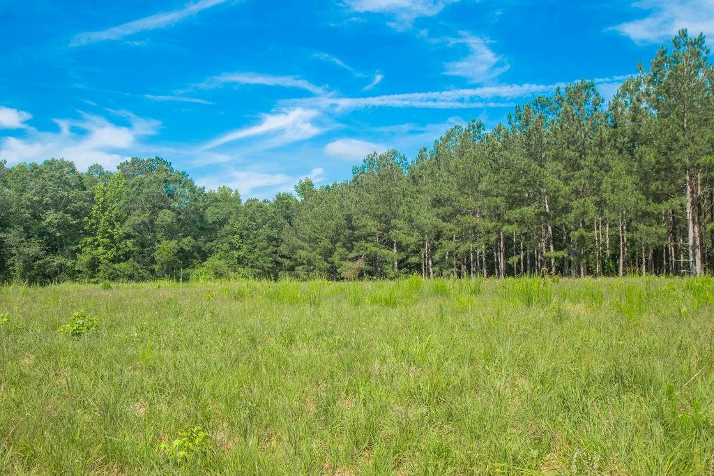 1145 Thurston Snow Road Good Hope, GA 30641 - Photo 94 of 134