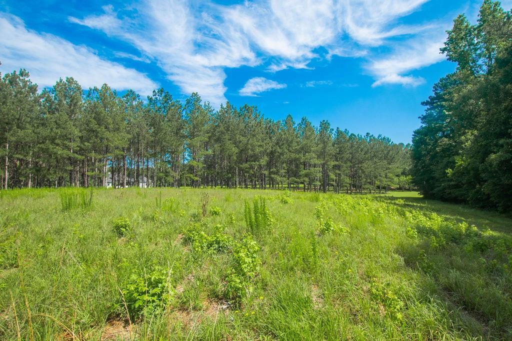 1145 Thurston Snow Road Good Hope, GA 30641 - Photo 97 of 134