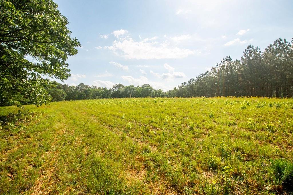 1145 Thurston Snow Road Good Hope, GA 30641 - Photo 98 of 134