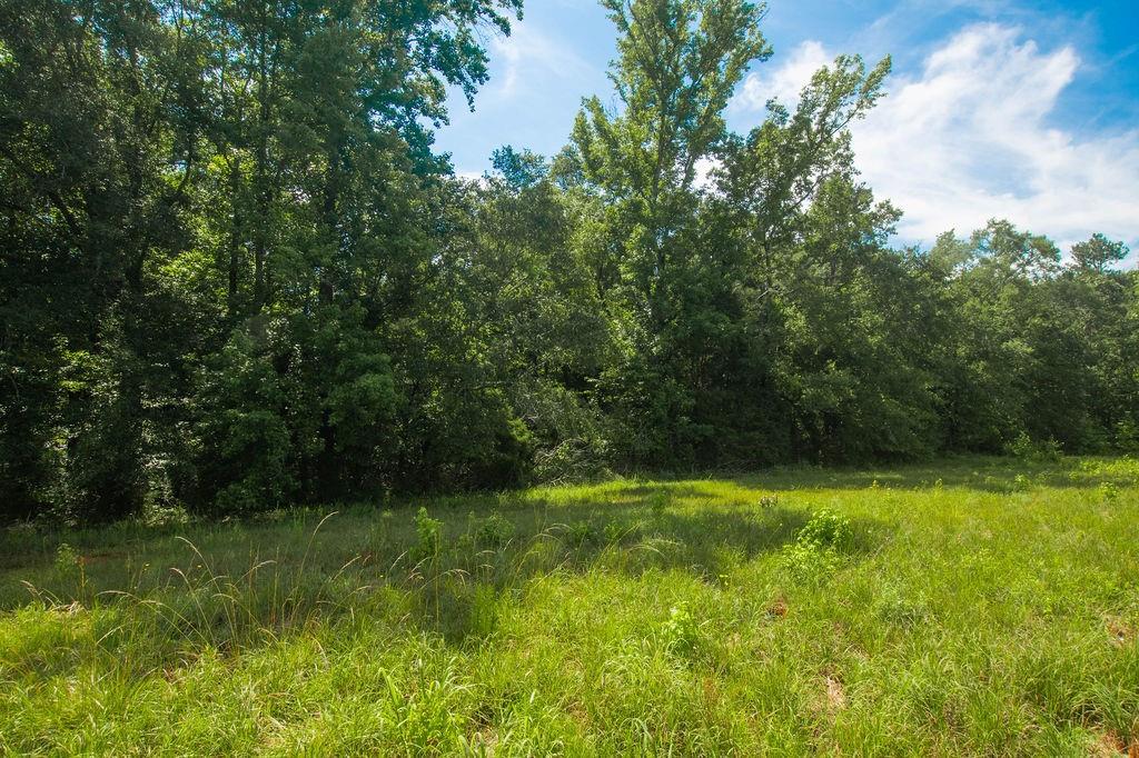 1145 Thurston Snow Road Good Hope, GA 30641 - Photo 100 of 134