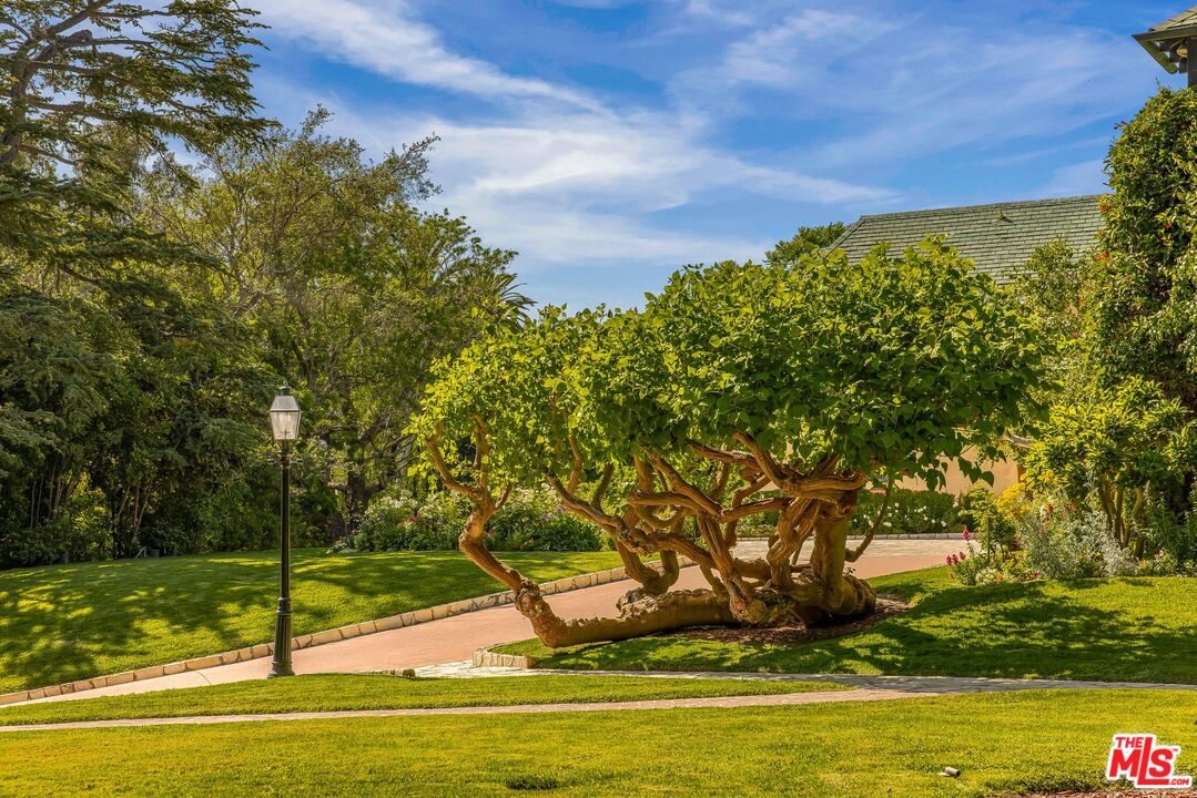 570 South Mapleton Drive Los Angeles, CA 90024 - Photo 4 of 23 a view of a swimming pool with an outdoor space