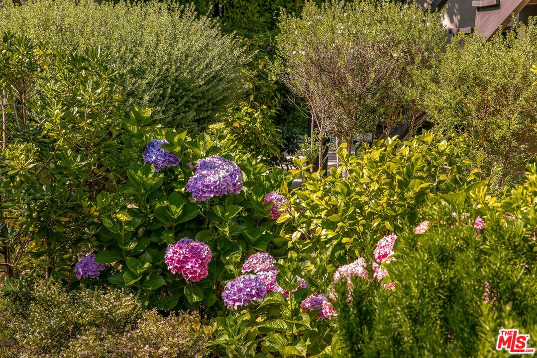 570 South Mapleton Drive Los Angeles, CA 90024 - Photo 8 of 23