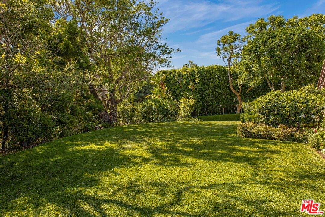 570 South Mapleton Drive Los Angeles, CA 90024 - Photo 10 of 23 a view of a trees