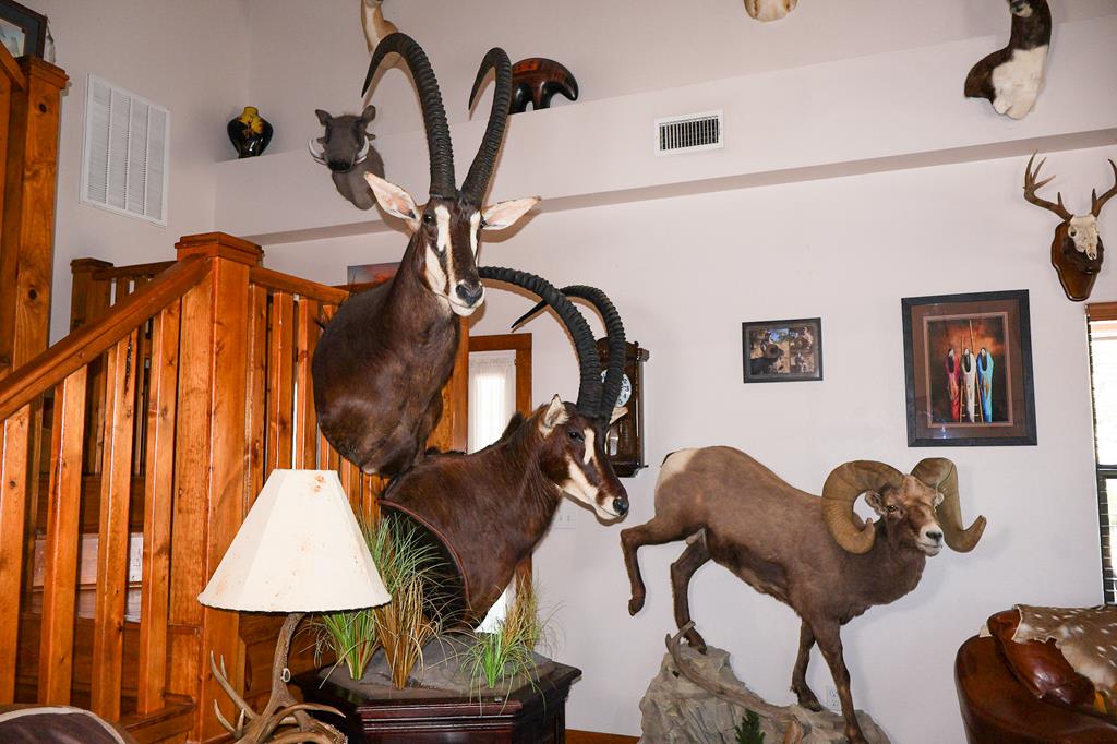 2970 Rr 2523 Del Rio, TX 78840 - Photo 13 of 28