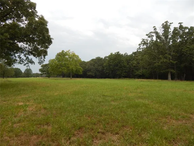 a view of outdoor space with green field and trees all around