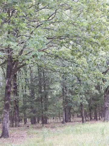 a view of a yard with trees