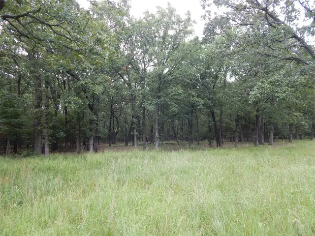 a view of backyard with green space