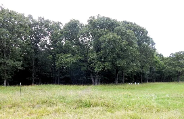 a view of backyard with green space