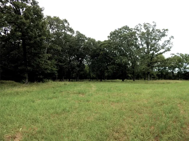 a view of a green field with wooden fence