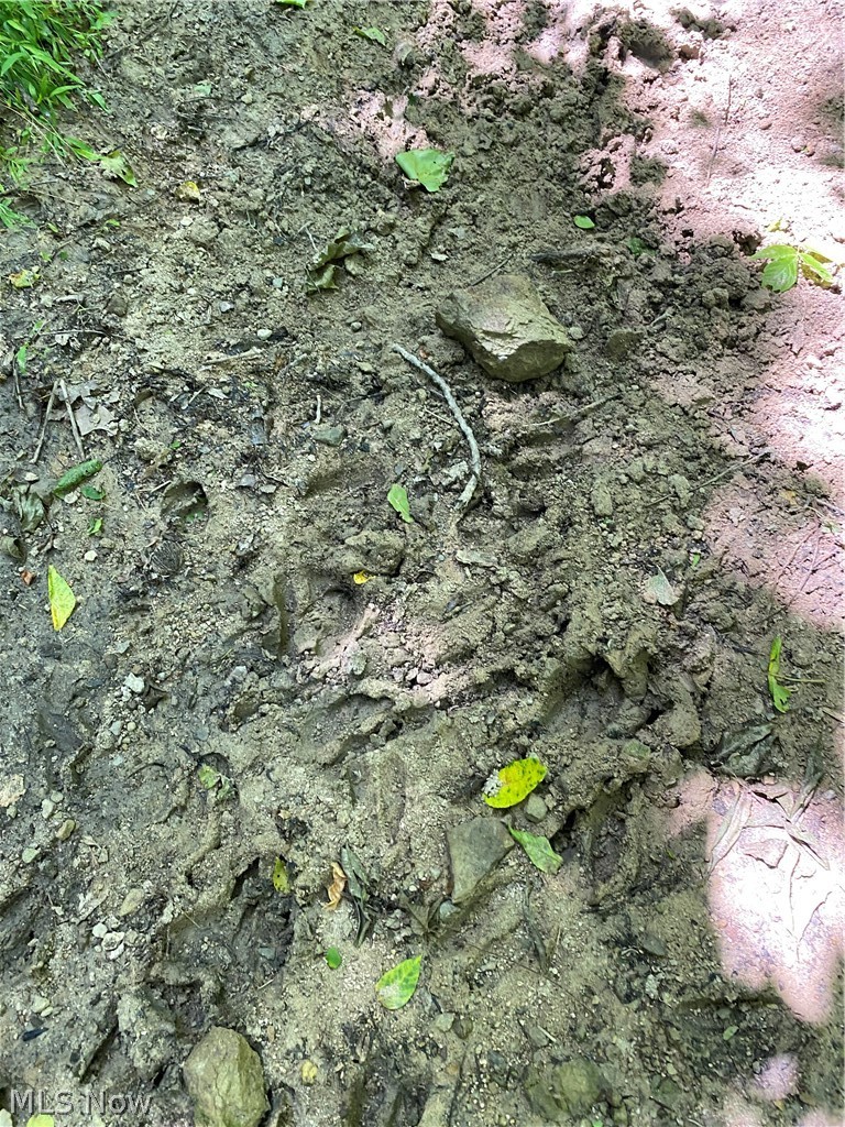 Ashton Hill Road Caldwell, OH 43724 - Photo 24 of 26