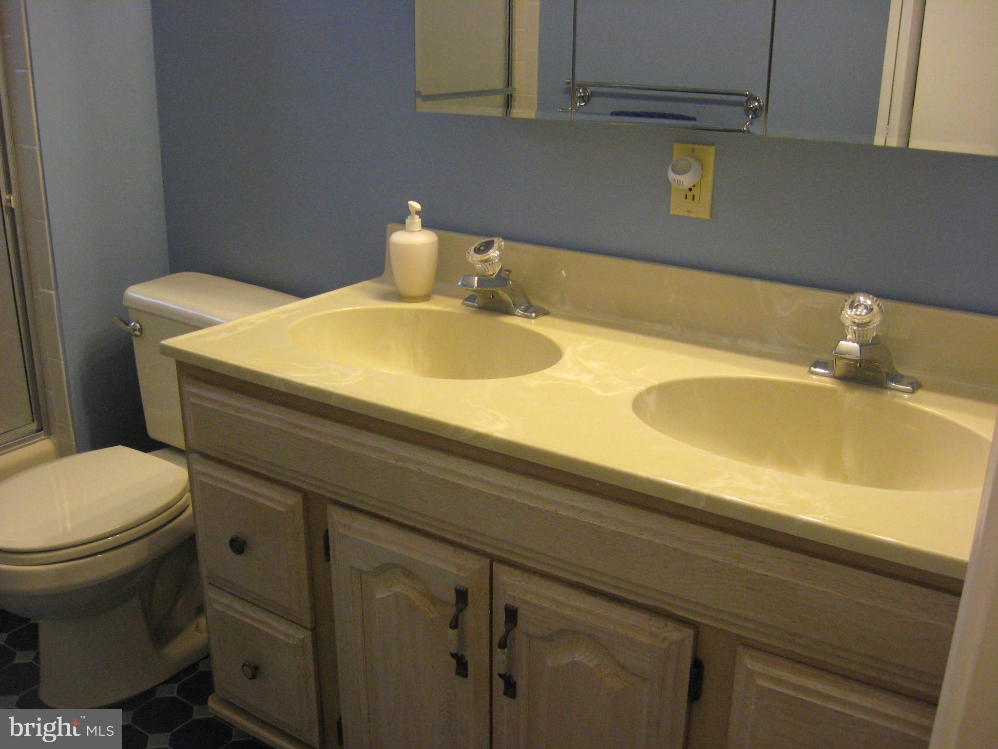 2893 Ringneck Road Audubon, PA 19403 - Photo 21 of 27 BATHROOM
