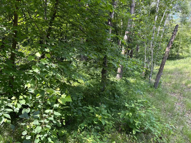 $10,000 | 399-xx Oriole Court, Browerville, MN 56438