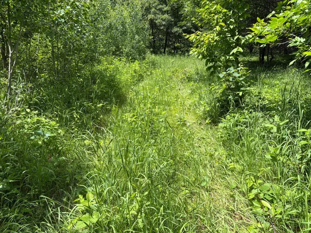 $10,000 | 399-xx Oriole Court, Browerville, MN 56438