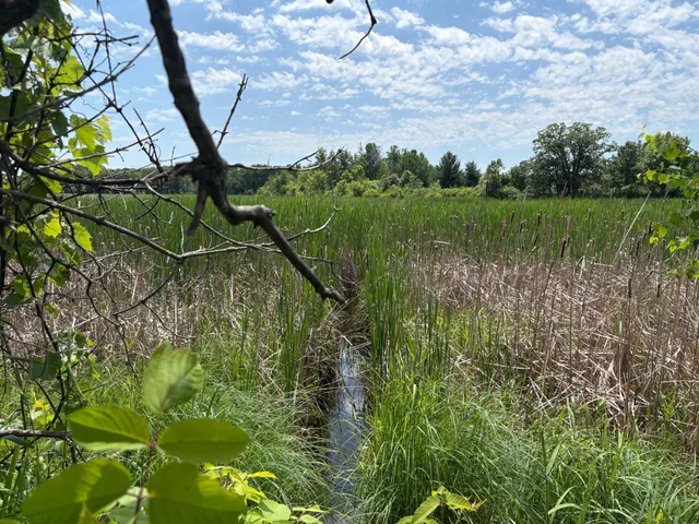 $10,000 | 399-xx Oriole Court, Browerville, MN 56438