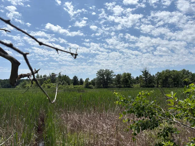 $10,000 | 399-xx Oriole Court, Browerville, MN 56438