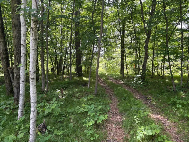 $10,000 | 399-xx Oriole Court, Browerville, MN 56438