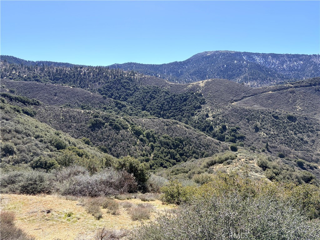 23320 Constance Way Tehachapi, CA 93561 - Photo 2 of 9