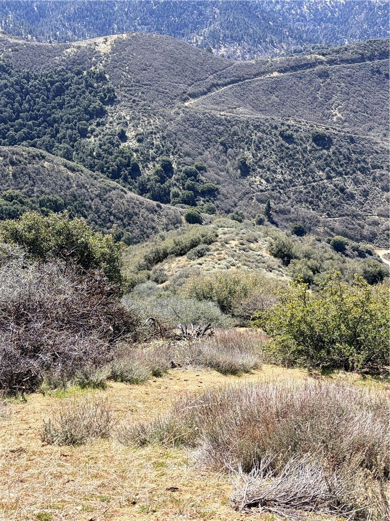 23320 Constance Way Tehachapi, CA 93561 - Photo 4 of 9