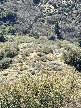 $12,900 | 23320 Constance Way, Tehachapi, CA 93561