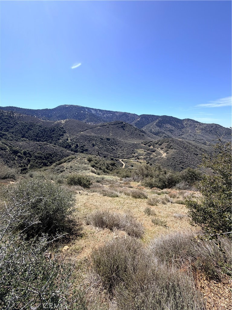 23320 Constance Way Tehachapi, CA 93561 - Photo 8 of 9